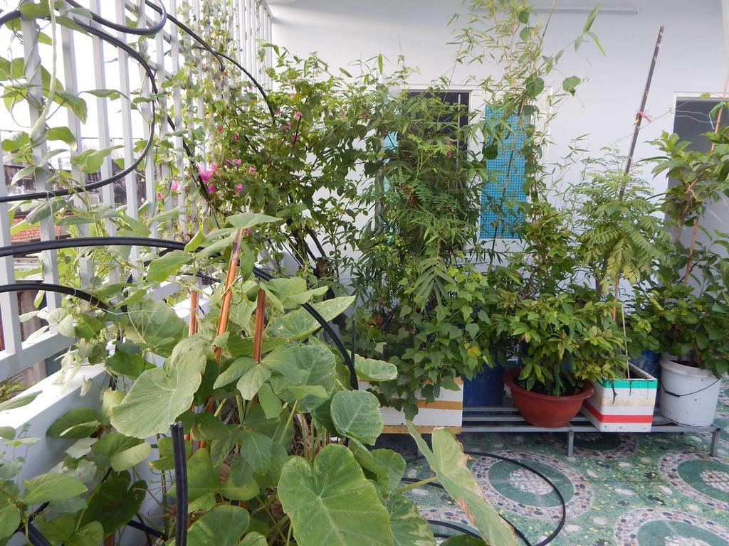 Homestay 37 Ad Ciudad Ho Chi Minh  Exterior foto